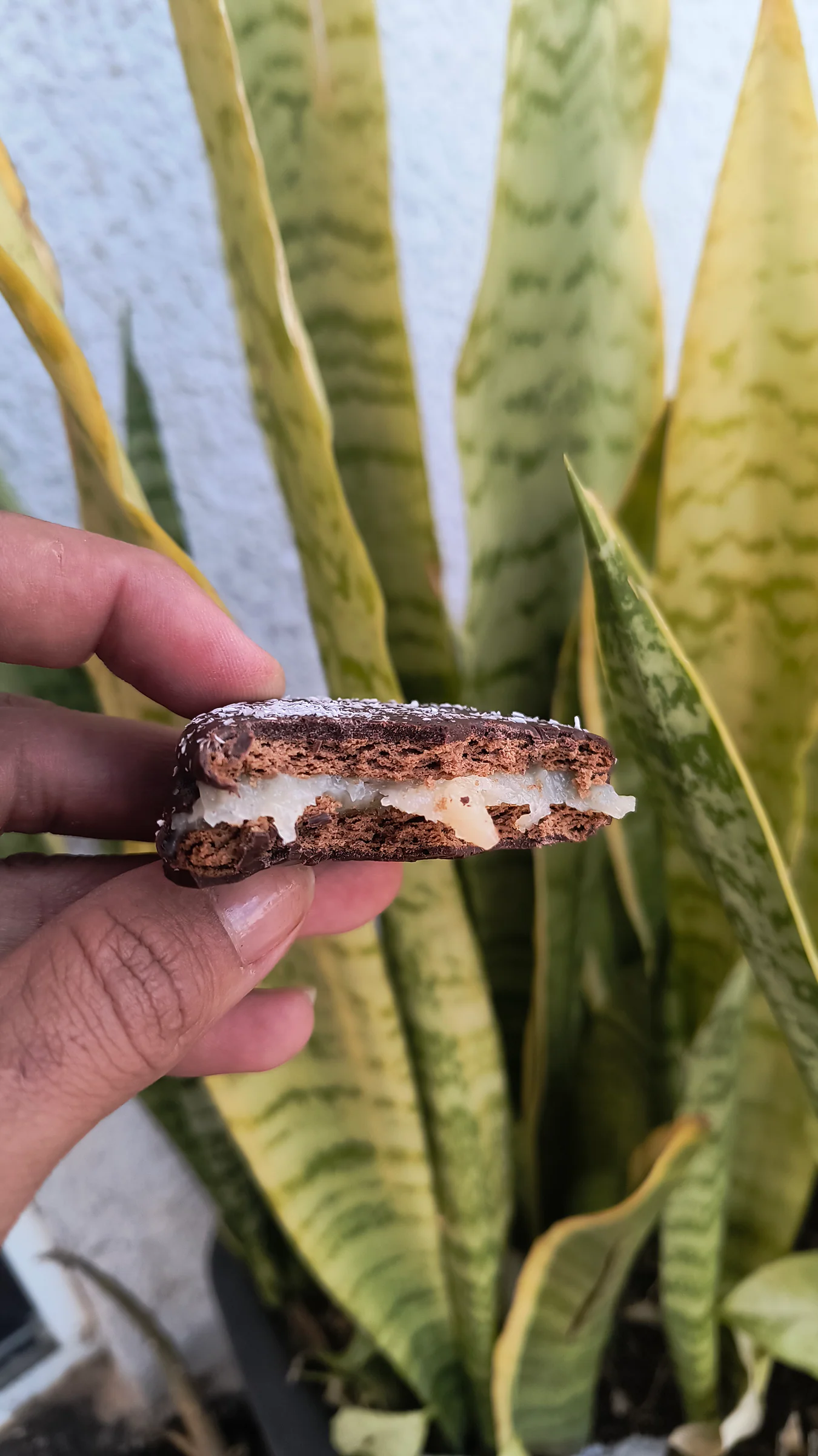 Alfajor