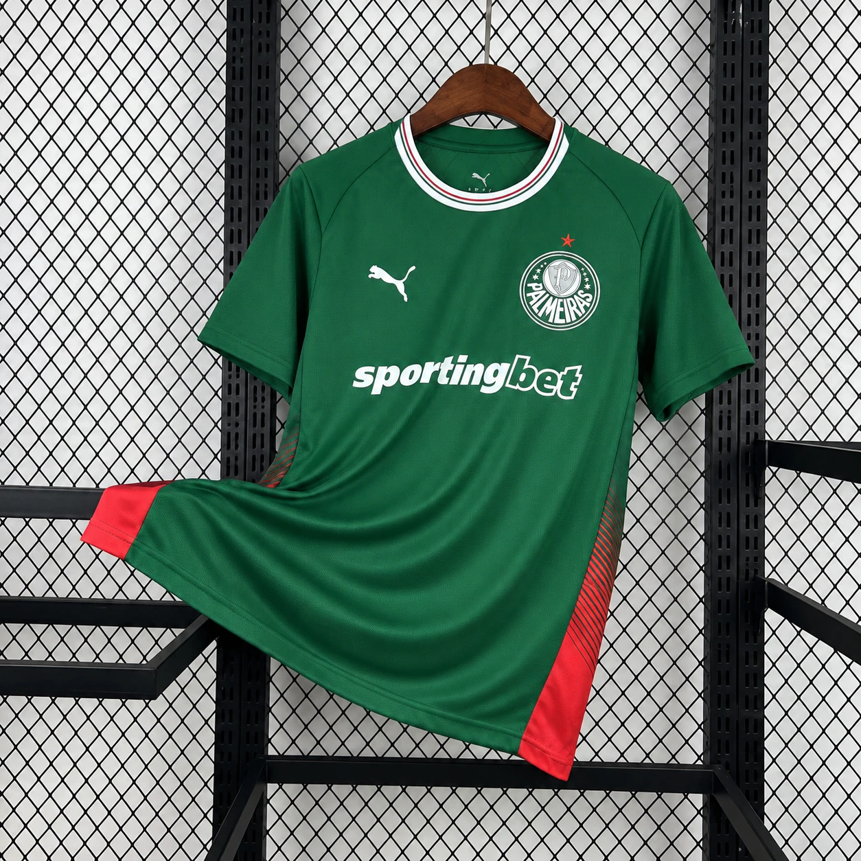 Palmeiras Casa 26-27