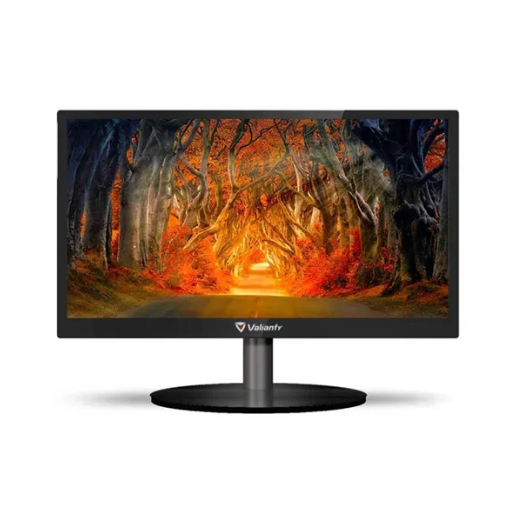 MONITOR VALIANTY 19 1440X900 VGA HDMI VAL DXM19C
